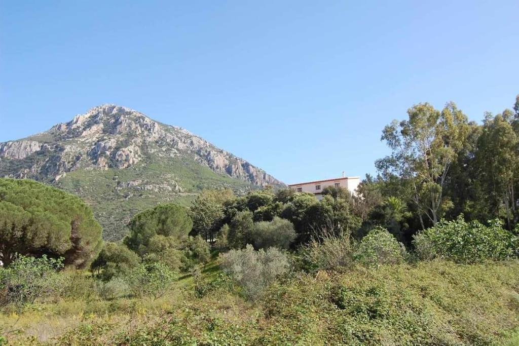 Taddore Green Lodge Galtellì Esterno foto